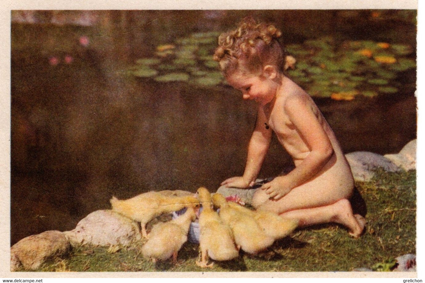 Buvard : Enfant Et Canetons - Animals