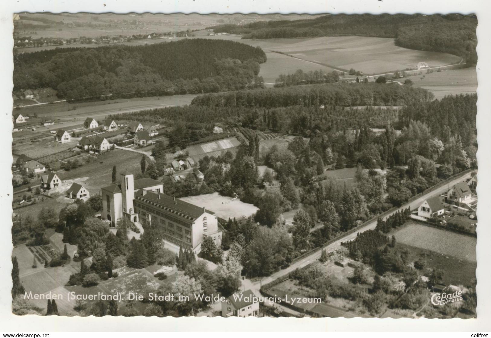 Rhénéanie-du-Nord-Wesphalie - Menden  - Die Stadt Im Walde  -  Walpurgis-Lyzeum - Menden