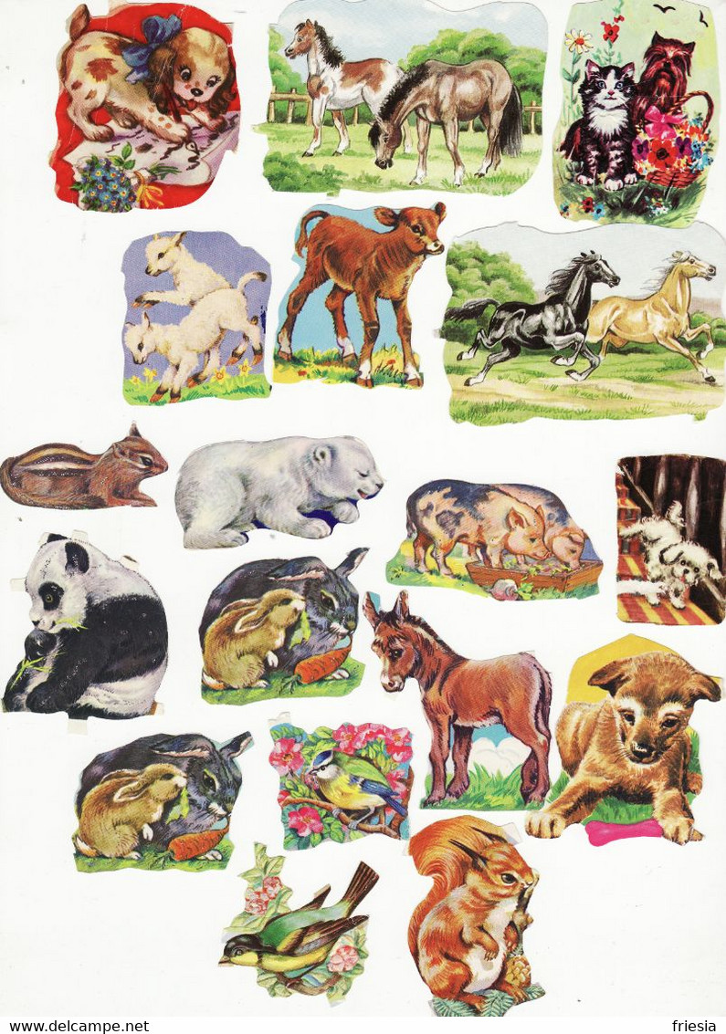 Glanzbilder Einzelmotive Tiere / Pferde, Lämmer, Hunde, Schweine Etc. - 18 Stück - Animales