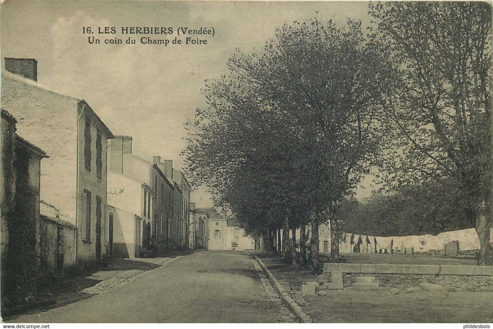 VENDEE  LES HERBIERS  Un Coin Du Champ De Foire - Les Herbiers