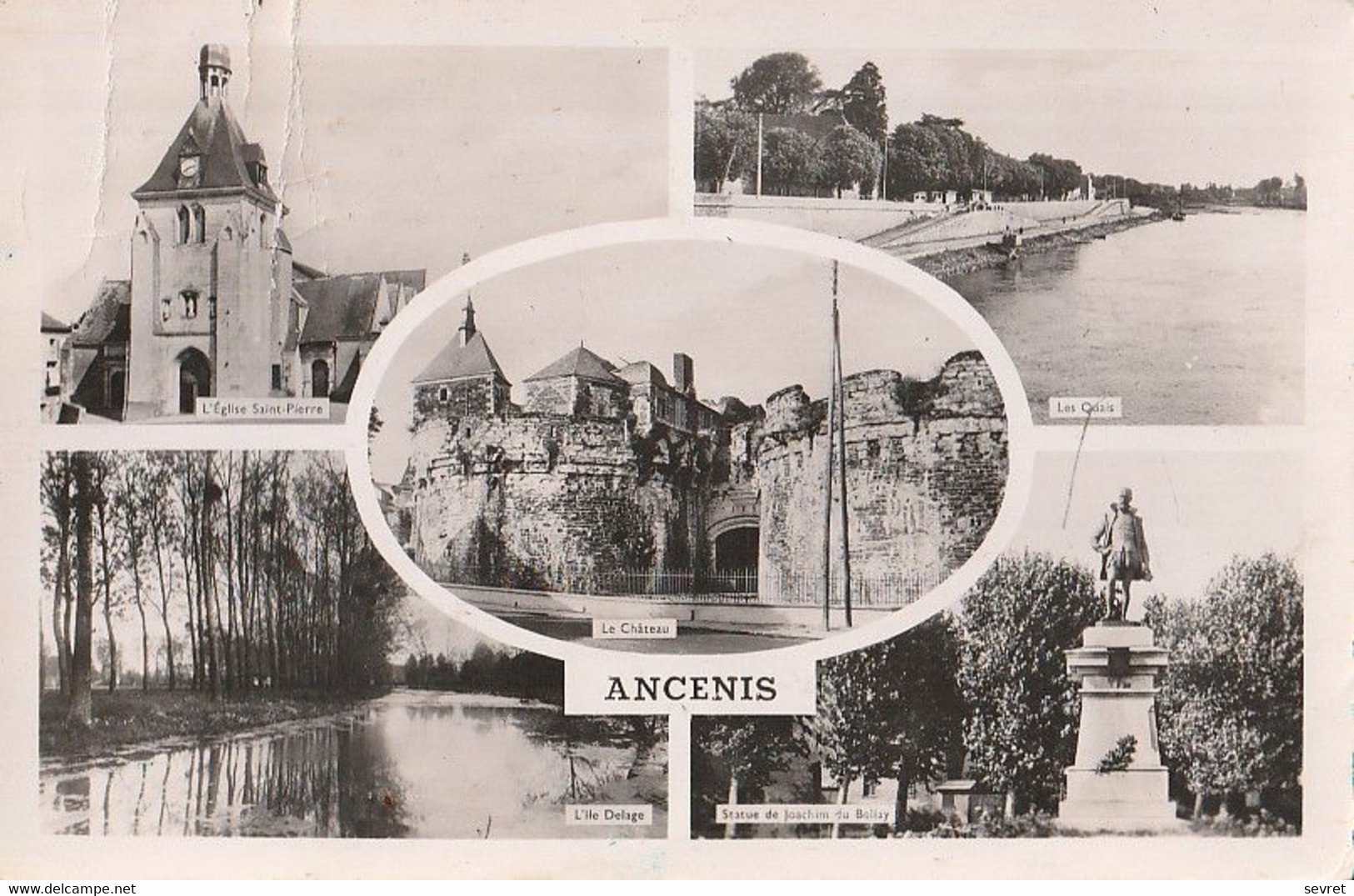 ANCENIS - Multivues    CPSM 9x14. - Ancenis