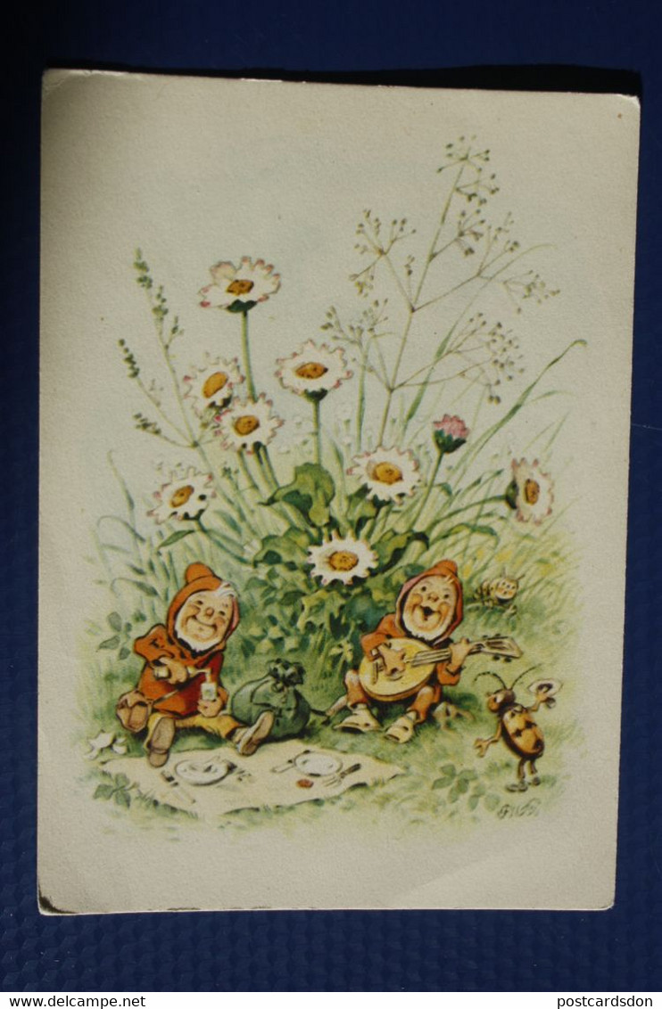 Dwarf , Playing Banjo , Bee, OLD POSTCARD - Fritz Baumgarten (illustrator) - 1950s - Baumgarten, F.