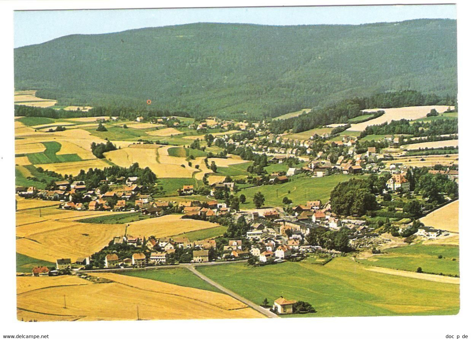 Deutschland - Friedenfels / Steinwald - Luftaufnahme - Tirschenreuth