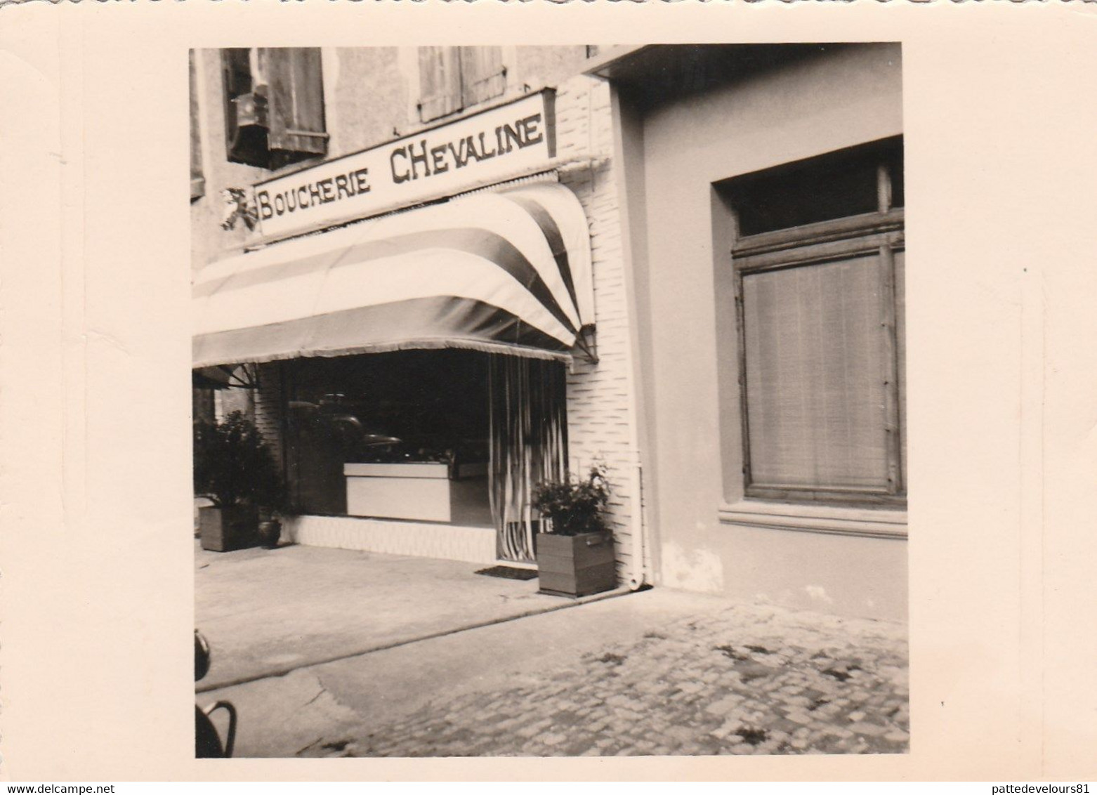 Photo Originale Dentelée  8,5 X 11,8  (31) CAZERES Devanture Magasin Boucherie Chevaline S. ARNAUD Août 1965  (2 Scans) - Métiers