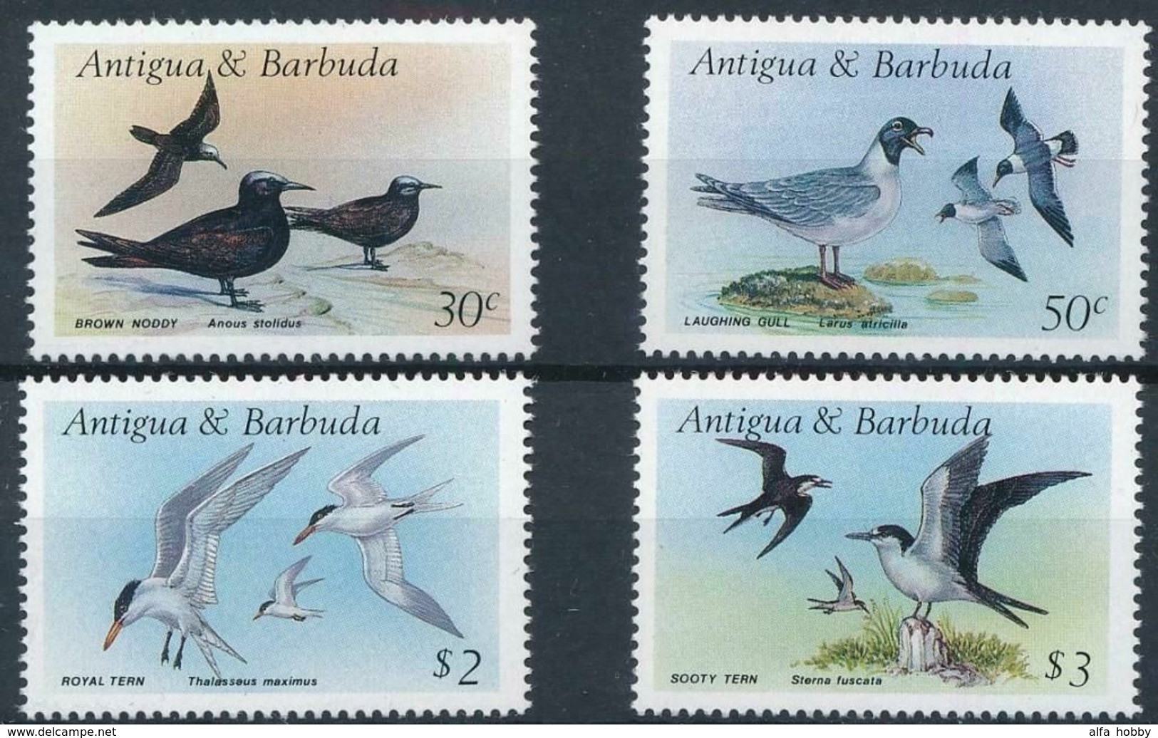 Antigua And Barbuda, 1987, 4 Stamps Birds  20 Euro - Meeuwen