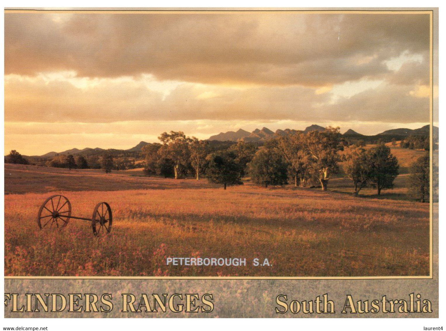 (DD 26) Australia - SA - Flinders Ranges - Flinders Ranges