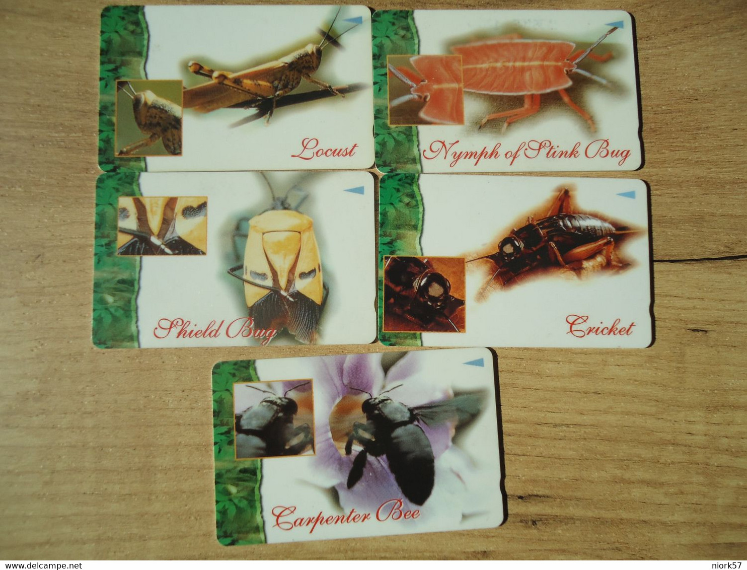 SINGAPORE USED SET 5 CARDS INSECTS - Otros & Sin Clasificación