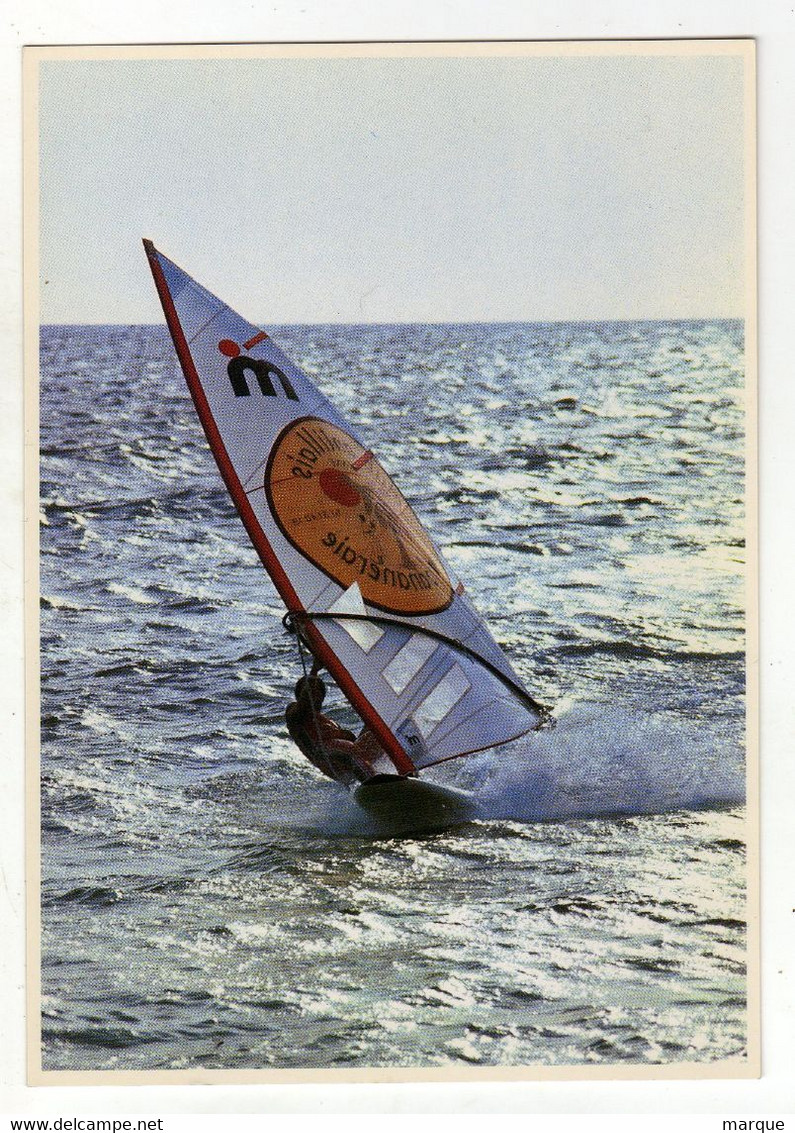 Cpm N° 3063 Planche à Voile - Sailing