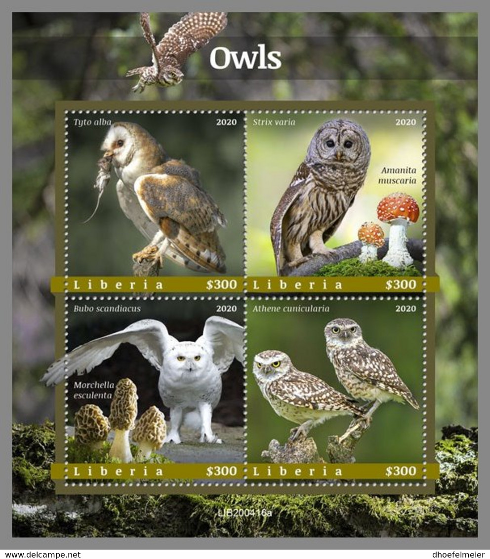 LIBERIA 2020 MNH Owls Eulen Hiboux M/S - OFFICIAL ISSUE - DHQ2102 - Gufi E Civette