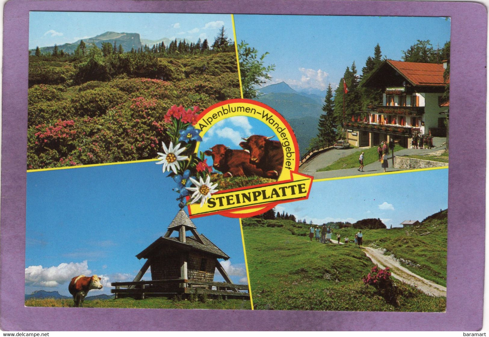 Länder-Wandergebiet Steinplatte Bild Oben Rechts : Alpengasthof Steinplatte 1440 M Waidring Tirol - Waidring