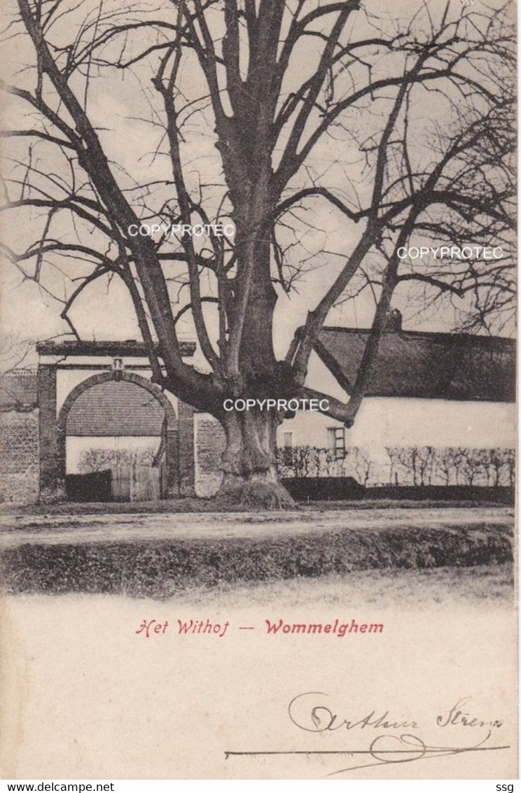 Withof Wommelgem - Wommelgem