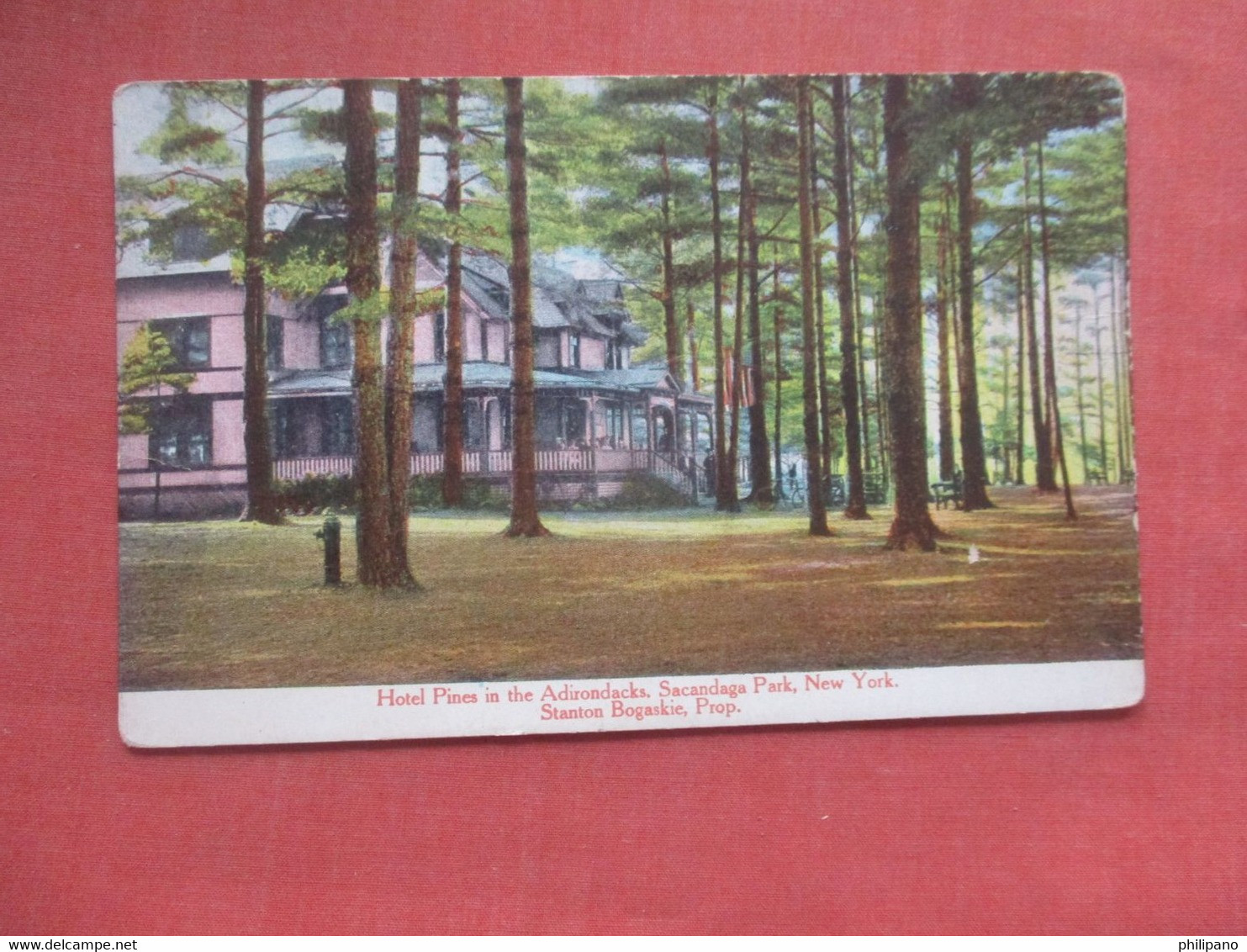 Hotel Pines Sacandaga Park New York > Adirondack >   Ref 4590 - Adirondack