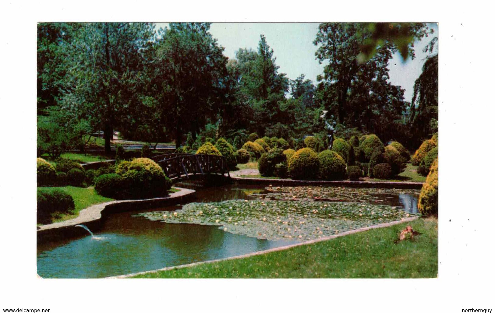 PROVIDENCE, Rhode Island, USA, Rustic Bridge In Roger Williams Park , Old Chrome Postcard - Providence