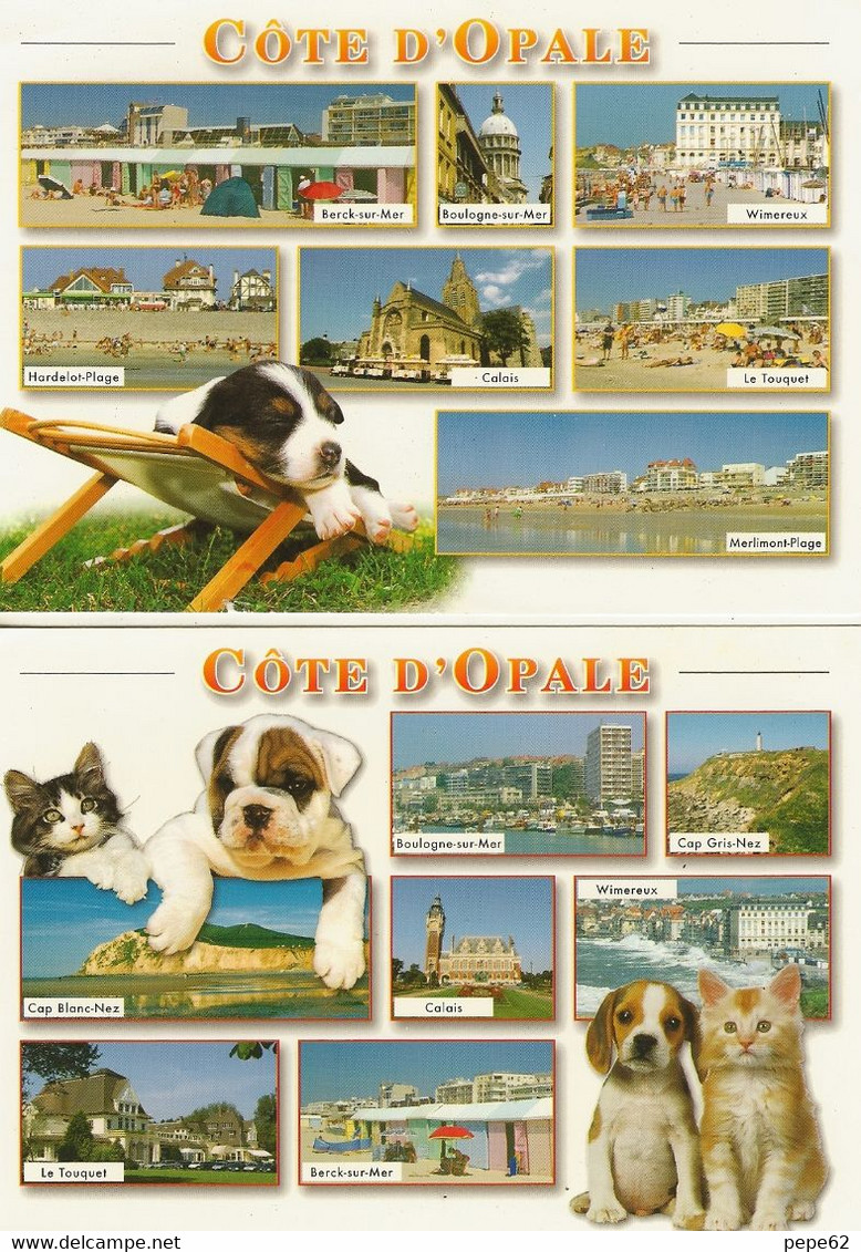 Cote D'opale-boulogne-cap Gris Nez-blanc Nez-berck-wimereux-calais-le Touquet-lot  2 Cartes-chat-chien-cpm - Nord-Pas-de-Calais