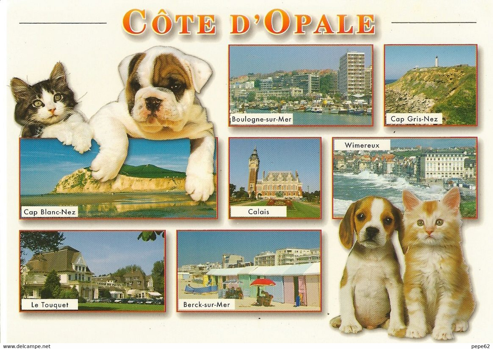 Cote D'opale-boulogne-cap Gris Nez-blanc Nez-berck-wimereux-calais-le Touquet-lot  2 Cartes-chat-chien-cpm - Nord-Pas-de-Calais