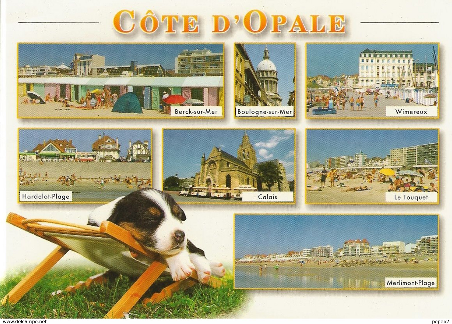 Cote D'opale-boulogne-cap Gris Nez-blanc Nez-berck-wimereux-calais-le Touquet-lot  2 Cartes-chat-chien-cpm - Nord-Pas-de-Calais