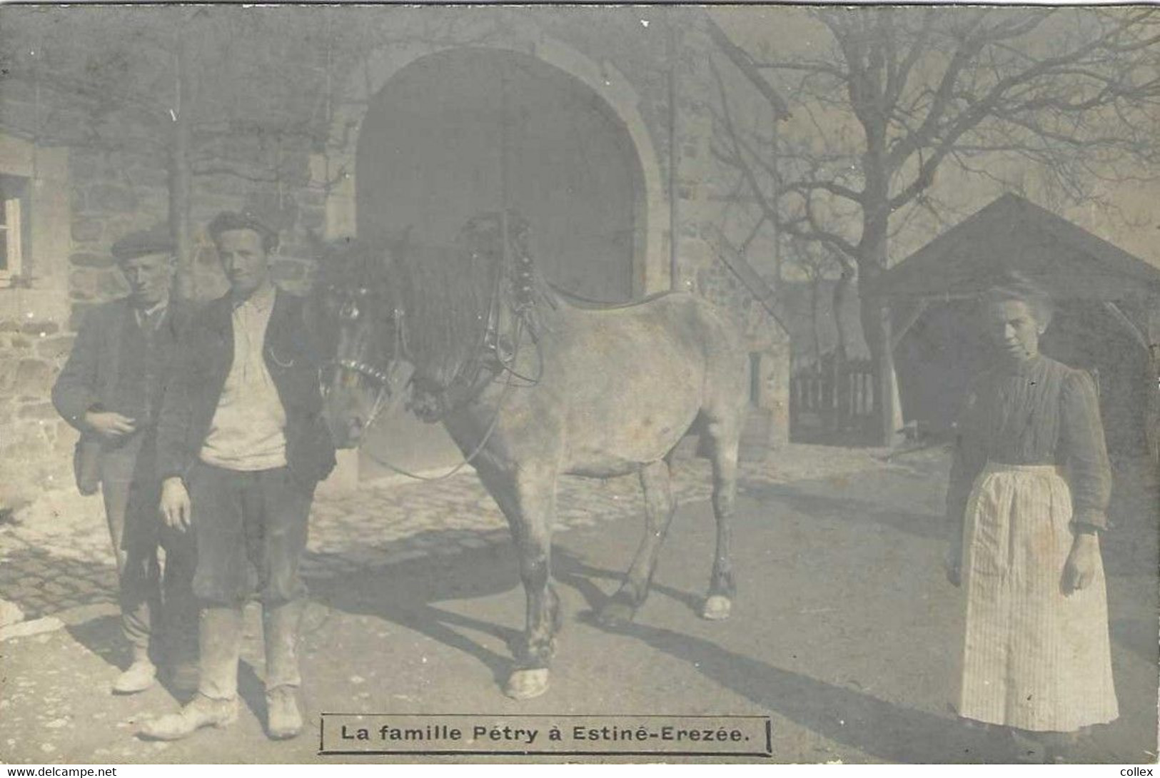 BELGIQUE / BELGIË // PROVINCE LUXEMBOURG // LA FAMILLE PETRY A ESTINE-EREZEE // TRES RARE CARTE PHOTO // - Erezee