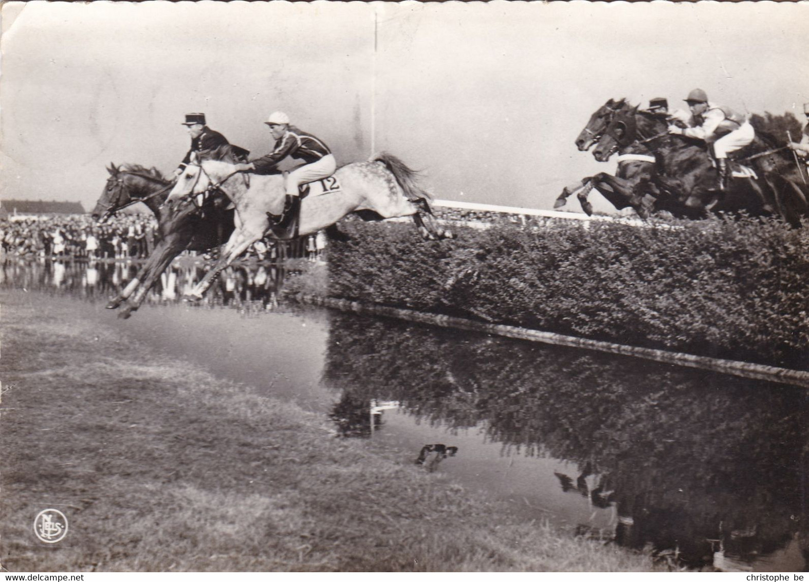 Waregem, Paardewedrennen, Sprong Over De Beek (pk76361) - Waregem