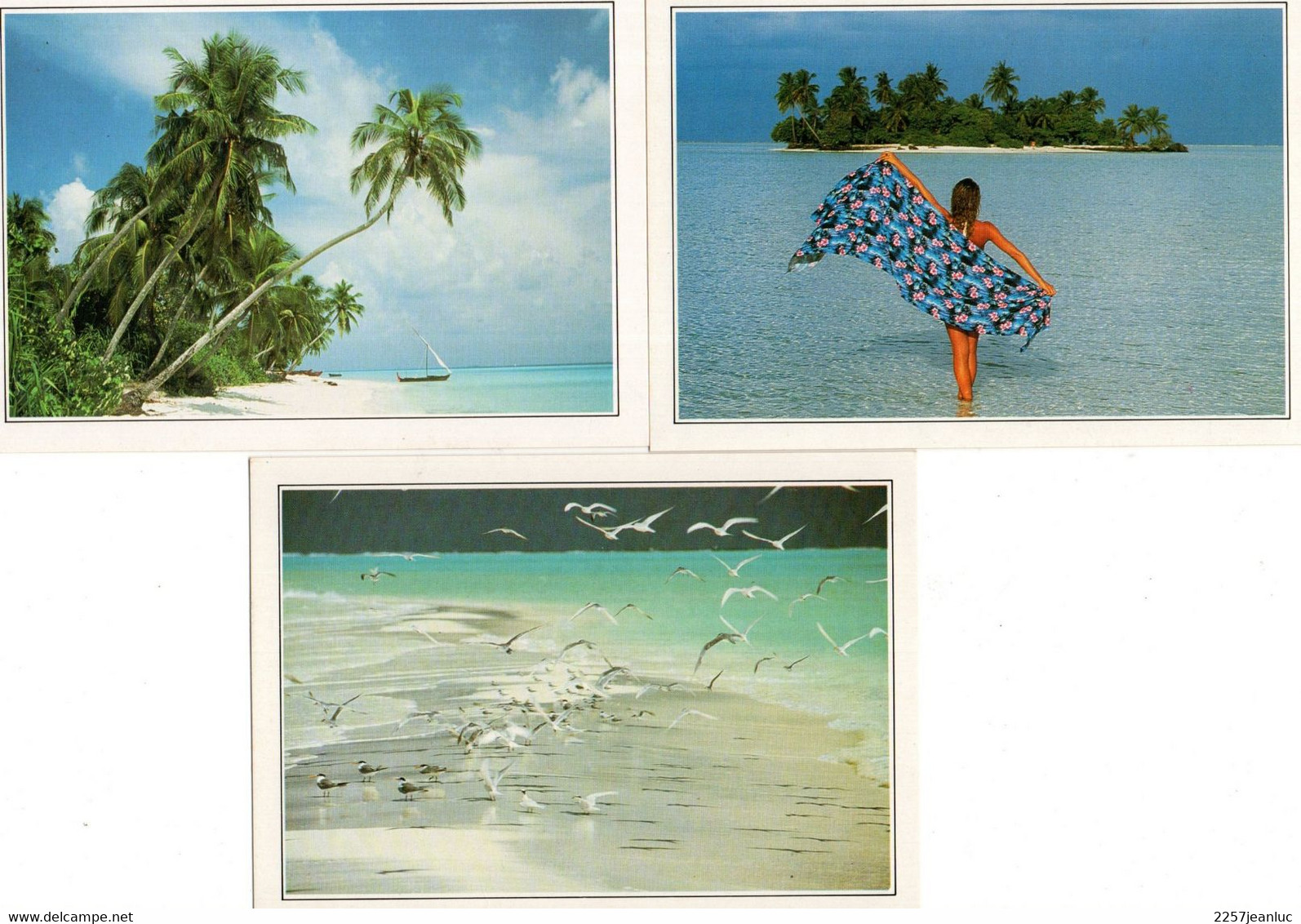 3 CPM  ( Postcard) - Maldives  Islands - Edito Service S.A 1979 - Maldiven