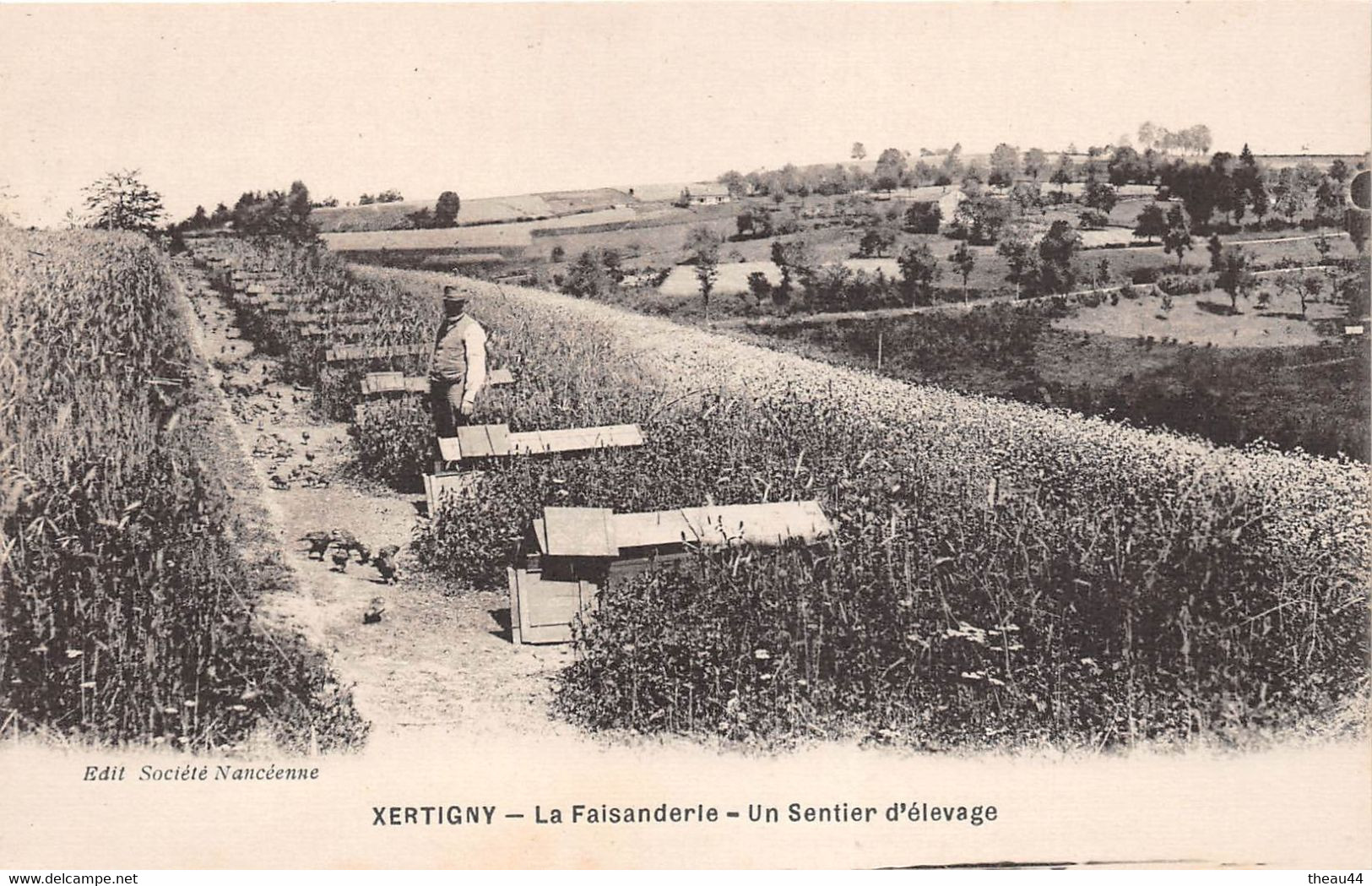¤¤  -   XERTIGNY   -  La Faisanderie  -  Un Sentier D'Elevage     -   ¤¤ - Xertigny