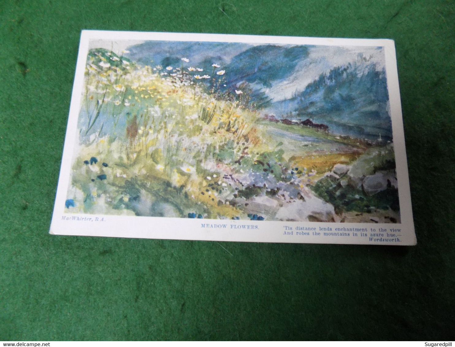 VINTAGE TOPICS ART: MacWhirter Meadow Flowers Colour 1917 Tuck Oilette - Pittura & Quadri