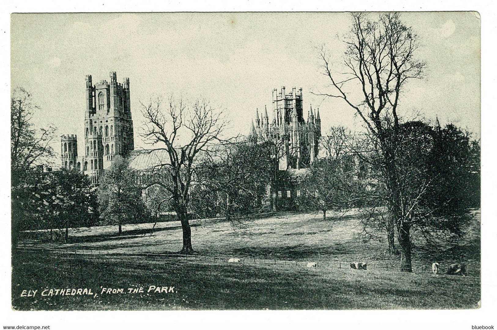 Ref 1441  -  Early Postcard - Ely Cathedral From The Park - Cambridgeshire - Ely