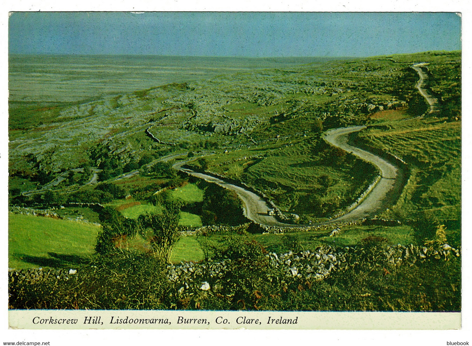 Ref 1443 - 1967 Postcard - Corkscrew Hill Lisdoonvarna - Burren County Clare - Ireland - Clare