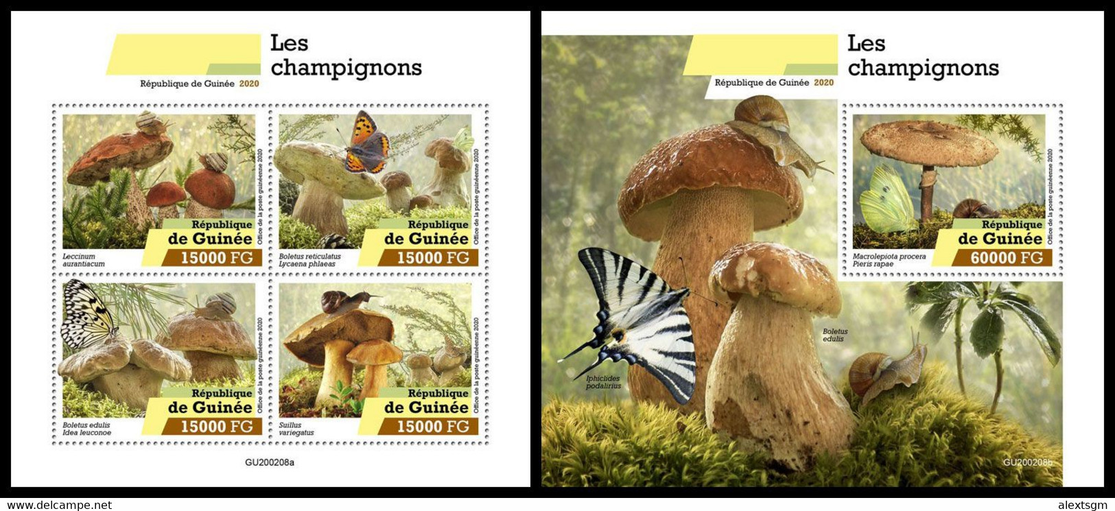 GUINEA 2020 - Mushrooms. M/S + S/S. Official Issue [GU200208] - Mushrooms