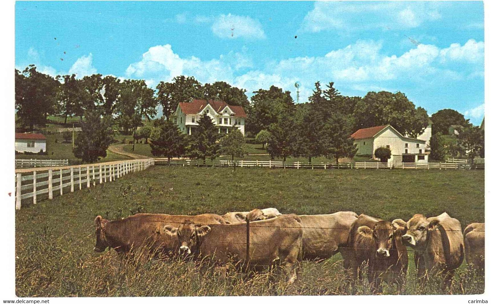 BROWN SWISS CATTLE GREEN COUNTY - Green Bay