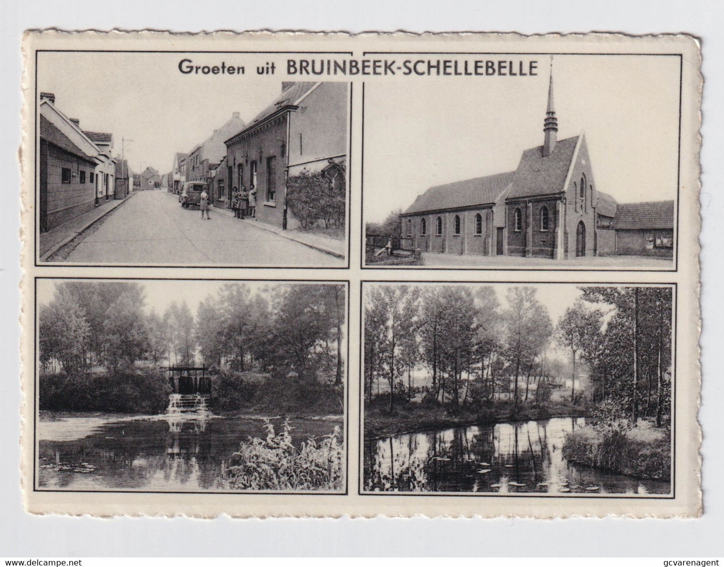 GROETEN UIT BRUINBEEK  SCHELLEBELLE - Wichelen