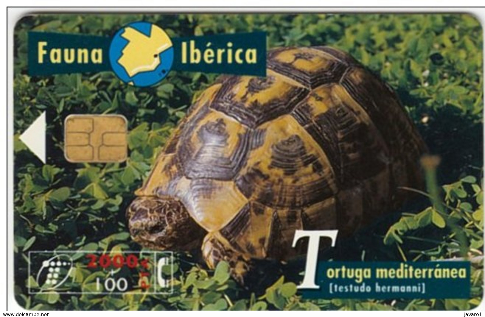 SPAIN ESP61 1000pta FAUNA Tortuga Mediterranea Turtle USED - Other & Unclassified