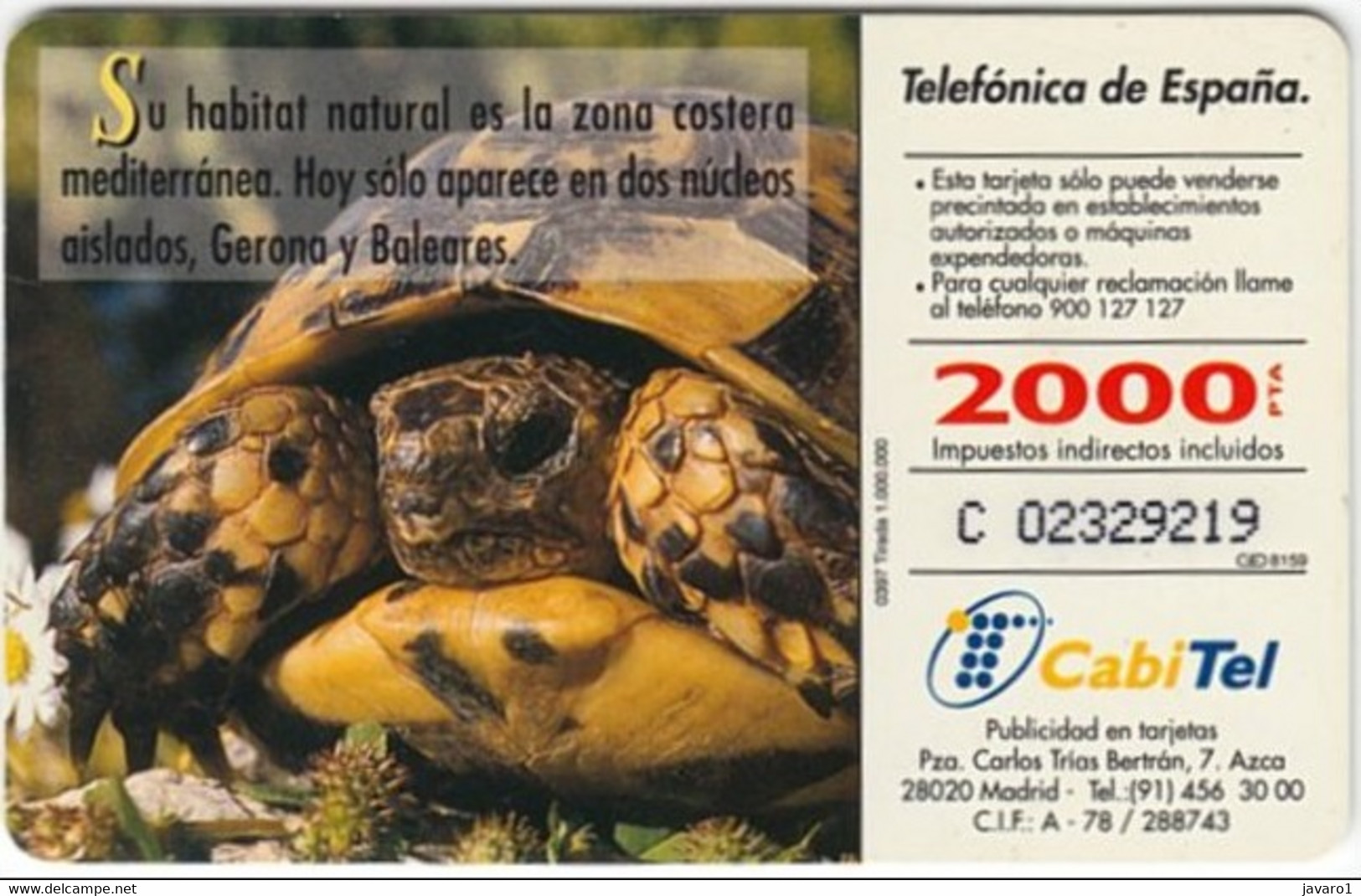 SPAIN ESP61 1000pta FAUNA Tortuga Mediterranea Turtle USED - Otros & Sin Clasificación