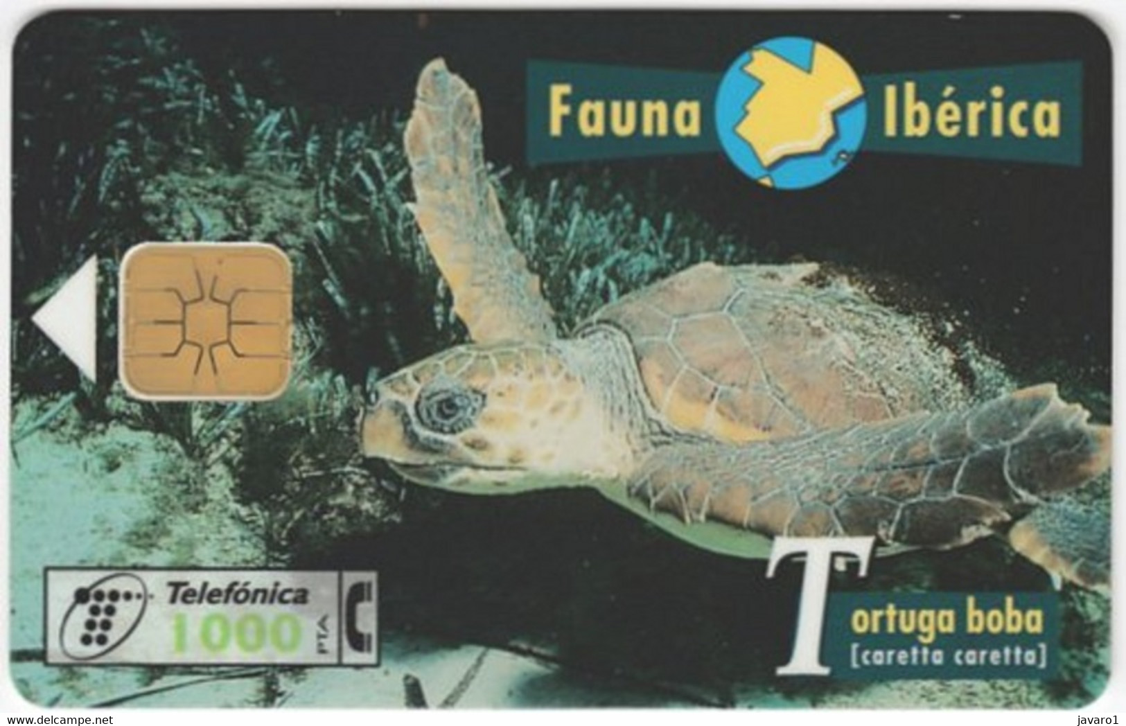 SPAIN ESP60 1000pta FAUNA Tortuga  Boba  Turtle USED - Autres & Non Classés