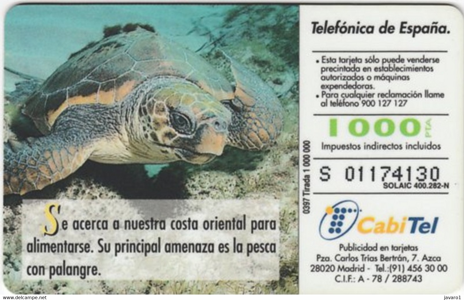 SPAIN ESP60 1000pta FAUNA Tortuga  Boba  Turtle USED - Sonstige & Ohne Zuordnung