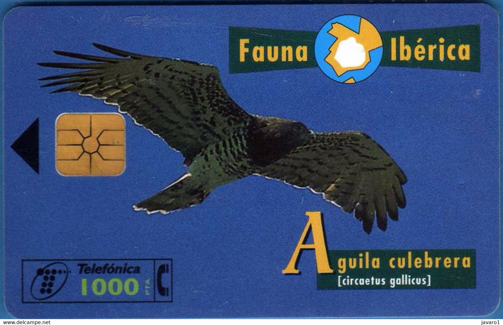 SPAIN ESP59 1000pta FAUNA Aguila Culebrera USED - Altri & Non Classificati