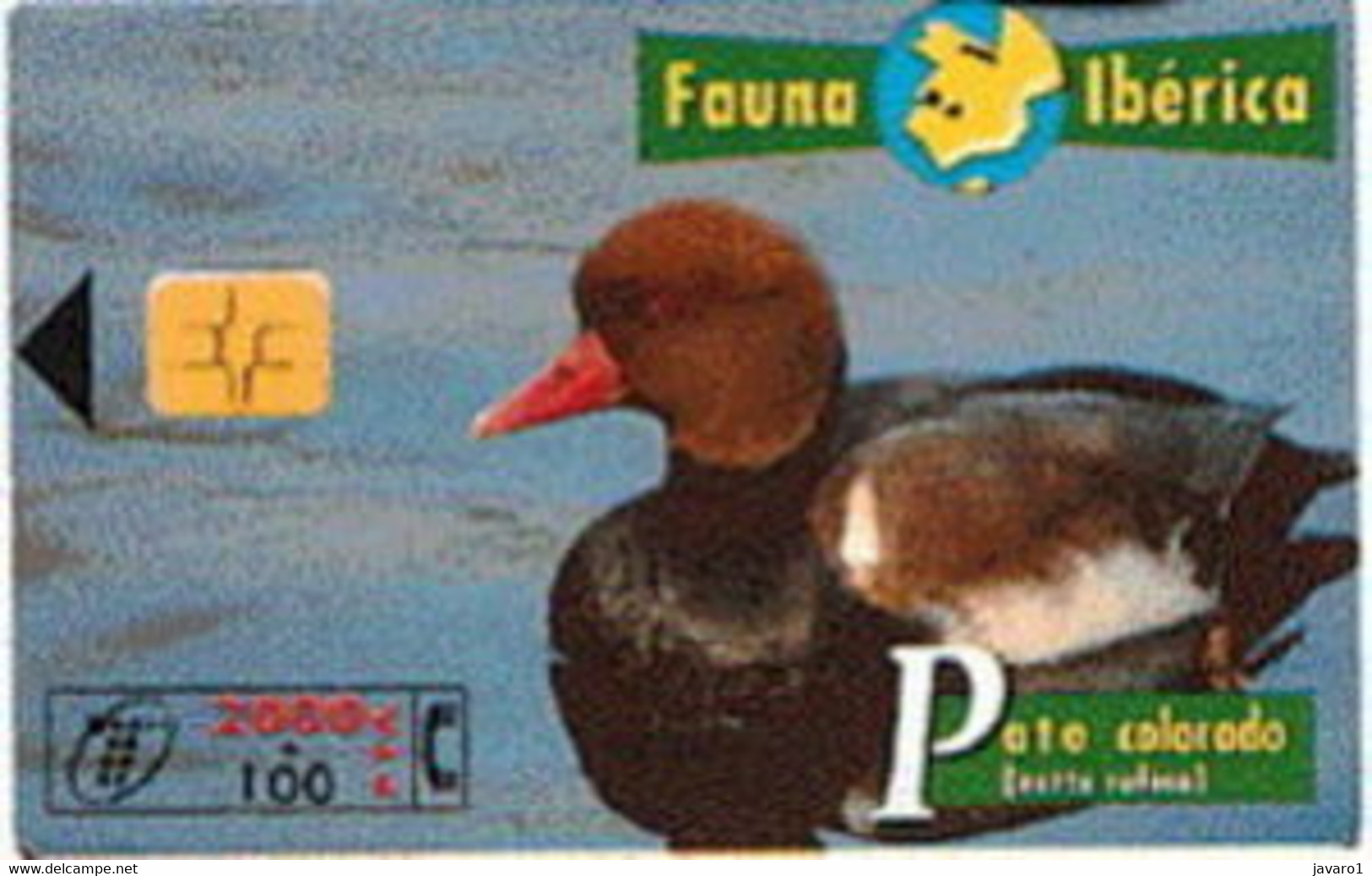 SPAIN ESP55 2000pta FAUNA PATO COLORADO  Duck USED  (x) - Autres & Non Classés
