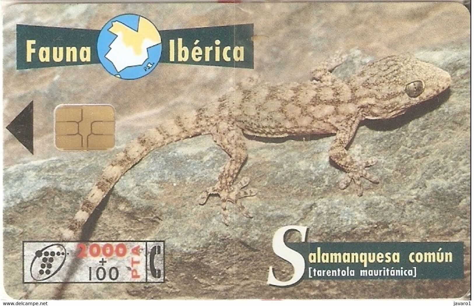 SPAIN ESP53 2000pta FAUNA Salamanquesa Comun USED - Autres & Non Classés