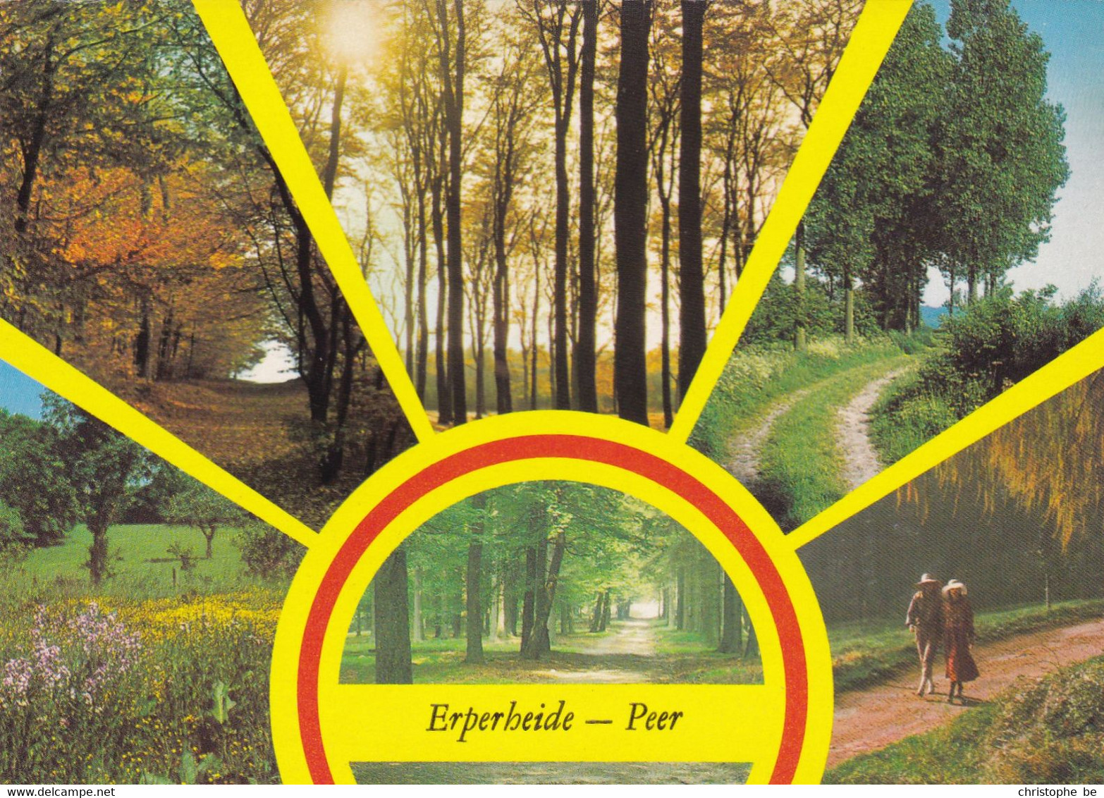 Peer, Erperheide (pk76396) - Peer