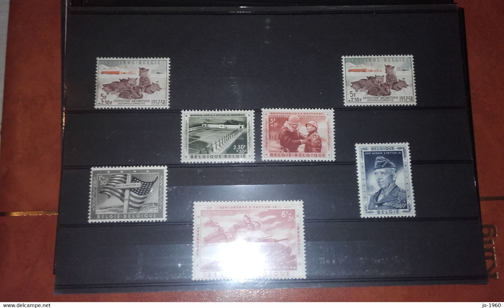 Belgique  Neuf  X N1030  Antarctique Chiens 1957 (1 Seul Timbre) - Autres & Non Classés