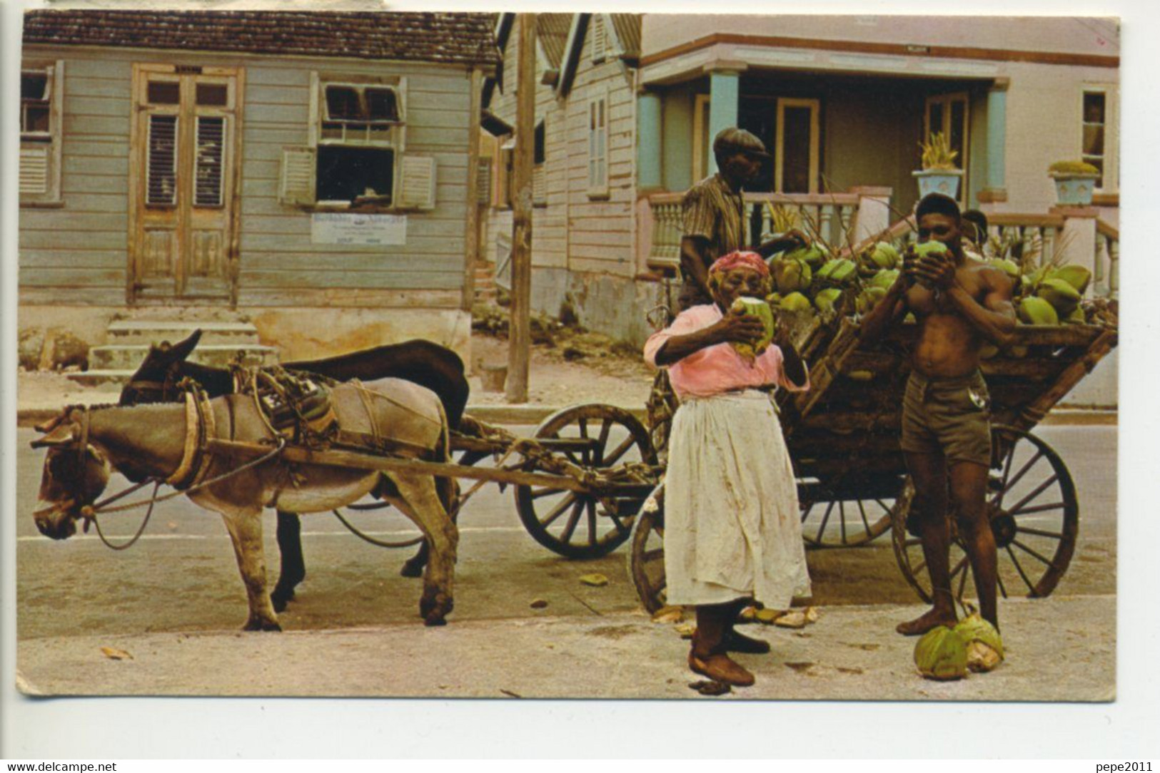 Old Post Card - BARBADOS - West Indies  - Native Coconut Vendor - Donkeys - Barbados (Barbuda)