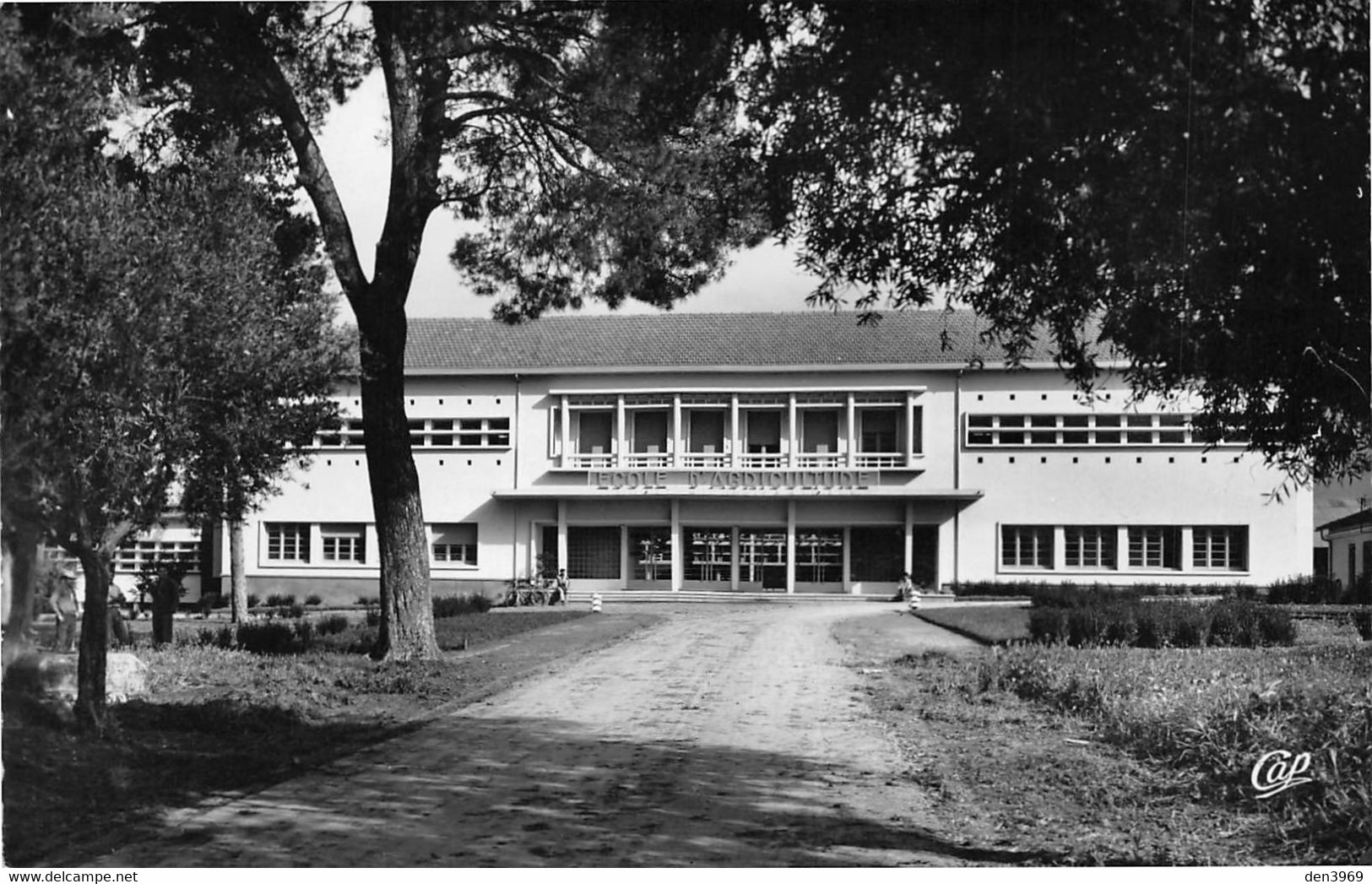 Algérie - GUELMA - L'Ecole D'Agriculture (J. Magliulo Architecte DPLG) - Guelma