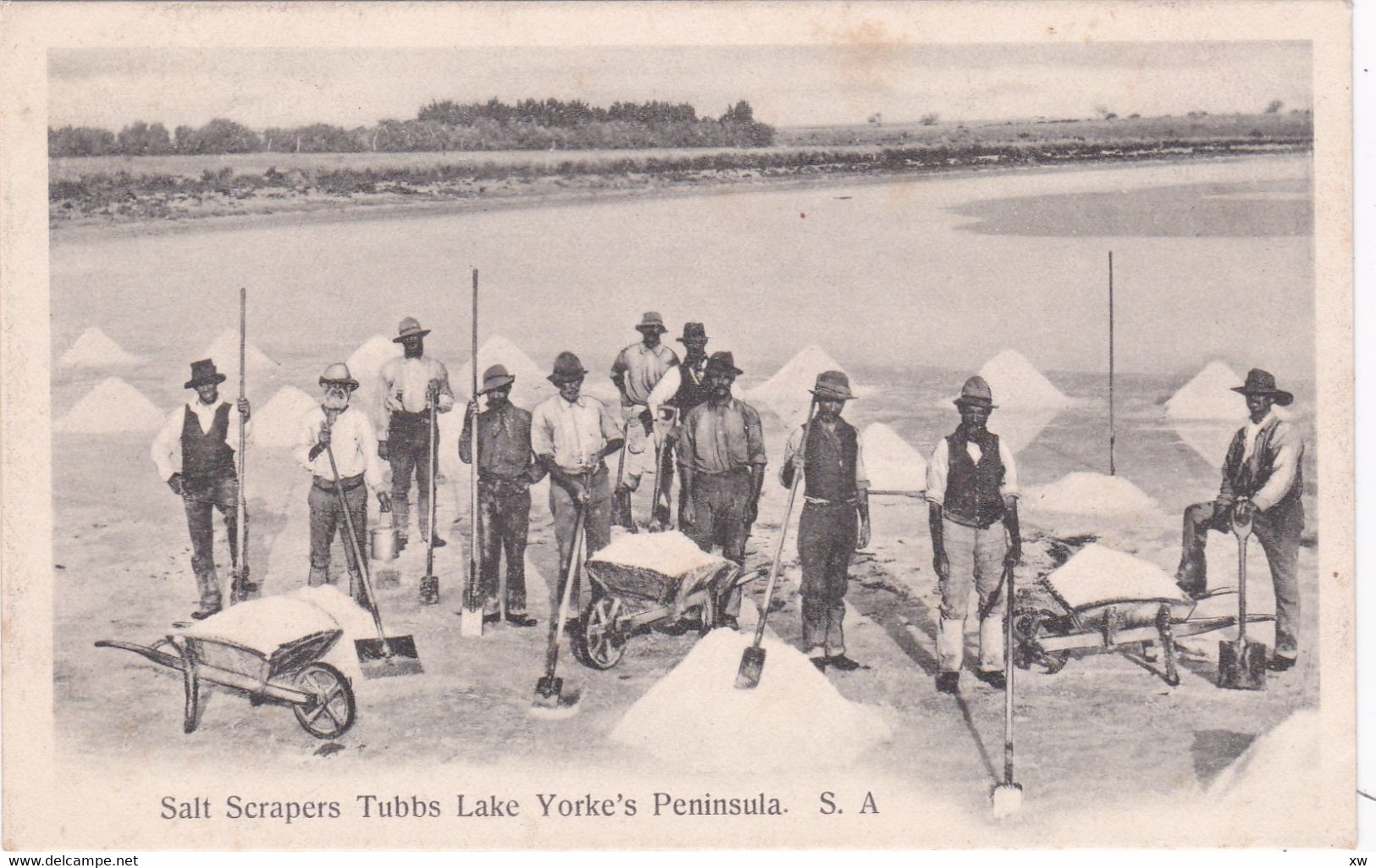 OCEANIE - SOUTH AUSTRALIA - SEL RACLEURS TUBBES PÉNINSULE DU LAC YORKE AUSTRALIE DU SUD - Otros & Sin Clasificación