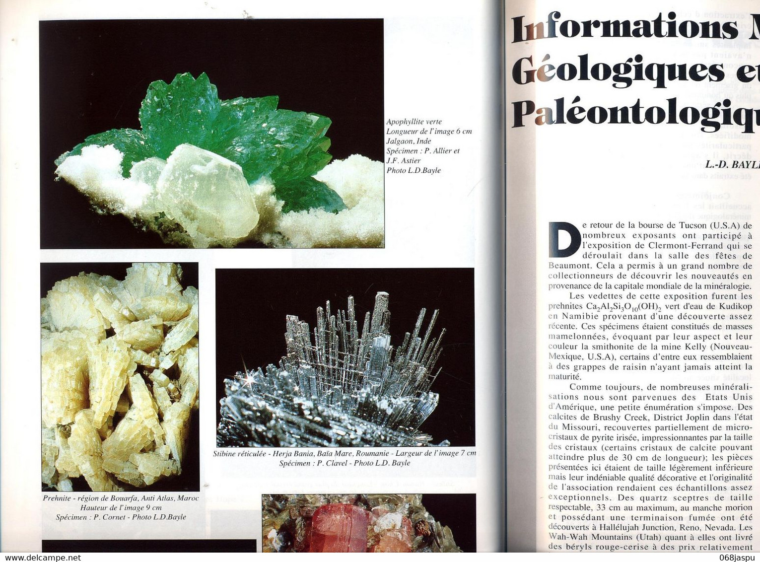 Revue Regne Mineral Juin1995  Mineralien Tucson  Mine Rodier - Science