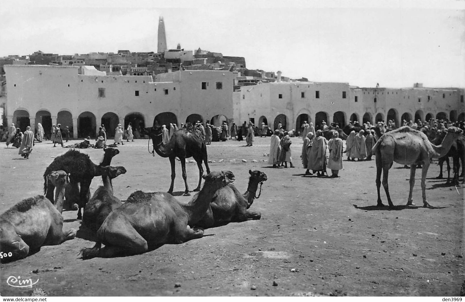 Algérie - GHARDAÏA - Place Du Marché - Dromadaires - Ghardaïa