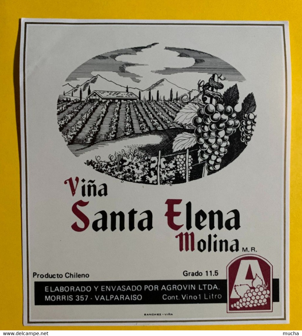 17950 -  Vina Santa Elena Molina Chili 2 étiquettes - Altri & Non Classificati