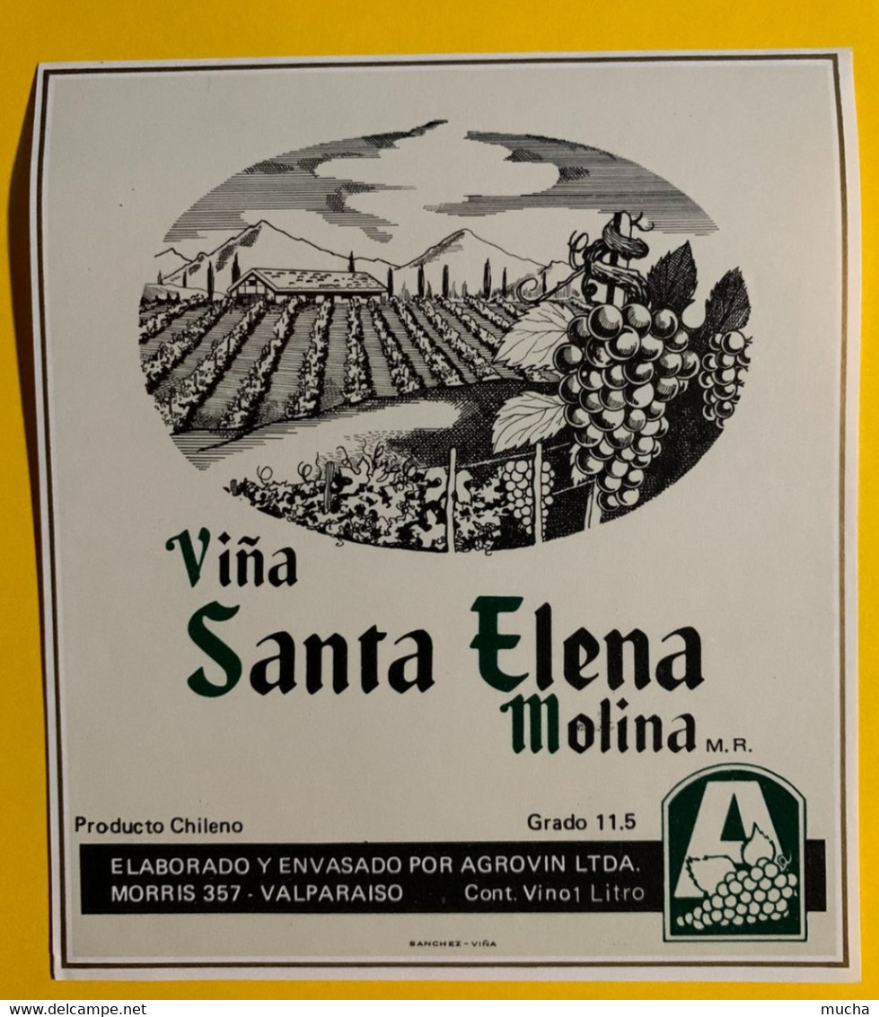 17950 -  Vina Santa Elena Molina Chili 2 étiquettes - Altri & Non Classificati