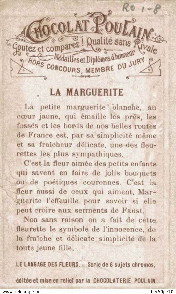 CHROMO   CHOCOLAT POULAIN   LANGUAGE DES FLEURS  MARGUERITE  INNOCENCE - Poulain