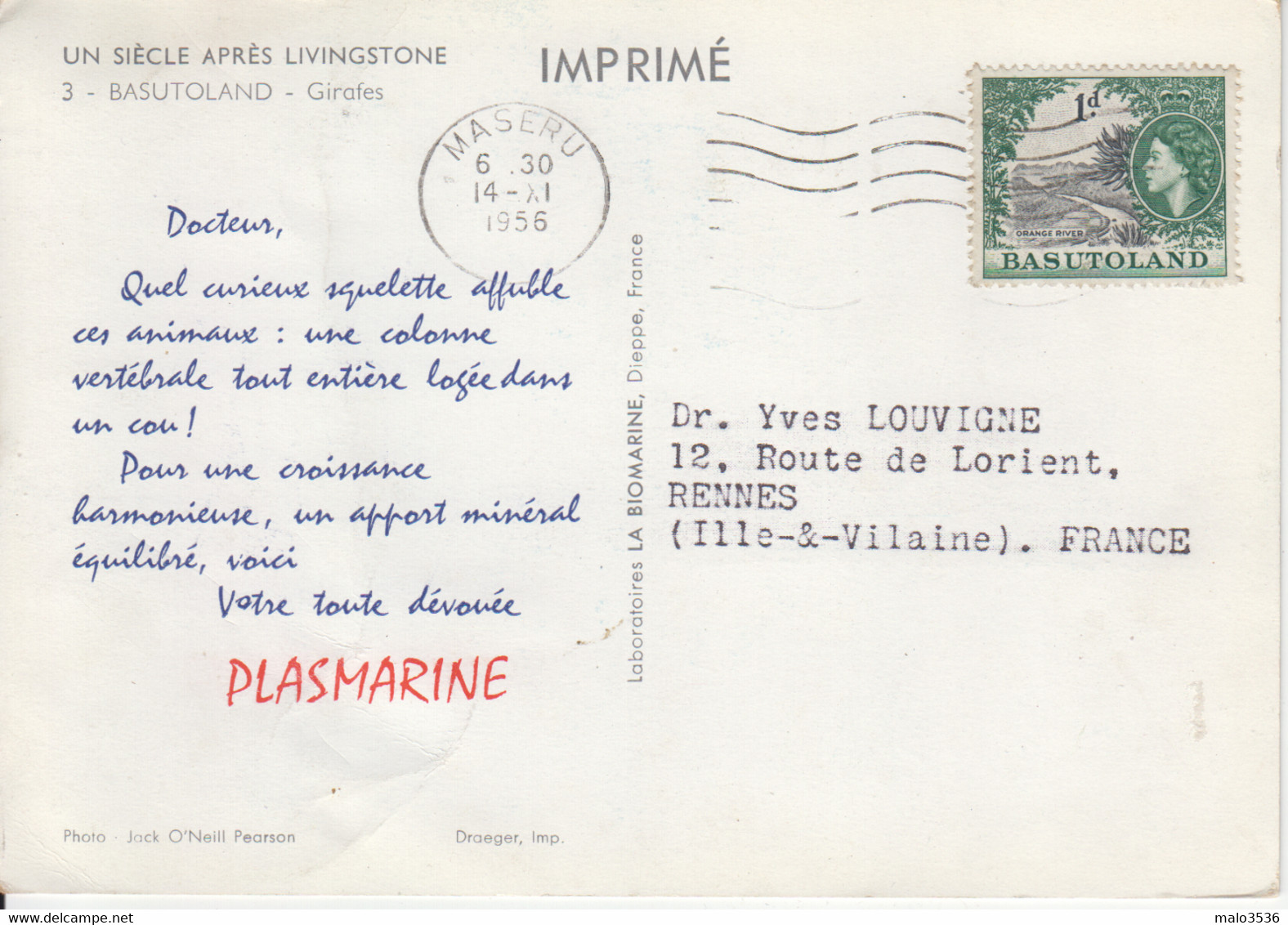 AFRIQUE - BASUTOLAND - LESOTHO - GIRAFES - TIMBRE BASUTOLAND - Pub Pharmacie 1956 - Lesotho