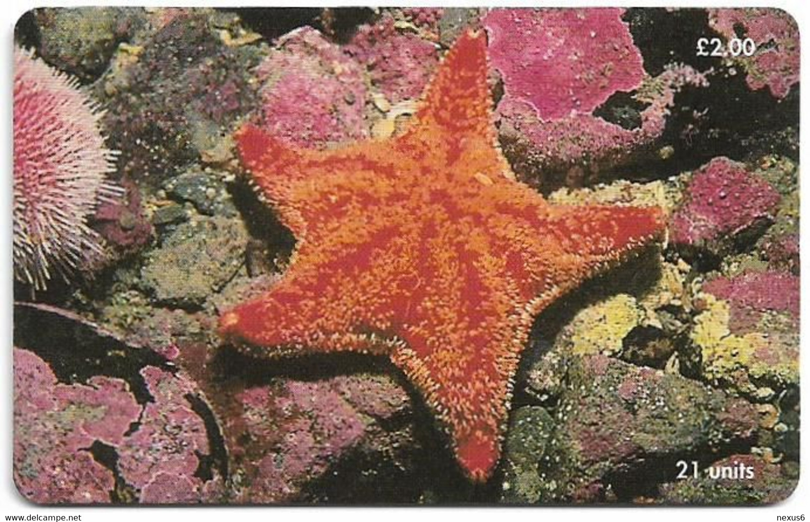 Isle Of Man - Chip - Red Cushion Starfish - 21U, 2001, 20.000ex, Used - Man (Isle Of)