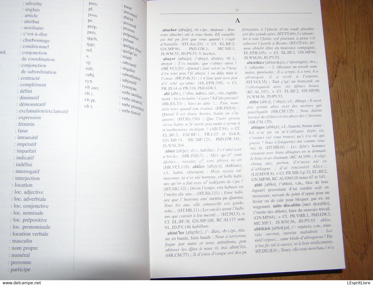 ESSAI D'ILLUSTRATION DU PARLER BORAIN Dictionnaire Capron Nisolle Régionalisme Hainaut Borinage Patois Dialecte Wallon - Belgium